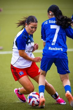 Bild 367 - wBJ Hamburger SV - FC Suederelbe : Ergebnis: 9:0